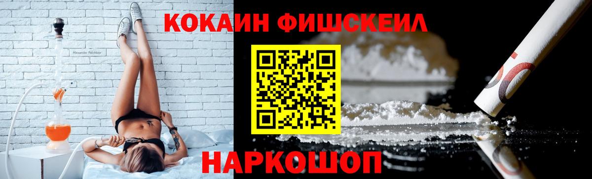 COCAIN Fish Scale  COCAIN  Будённовск 