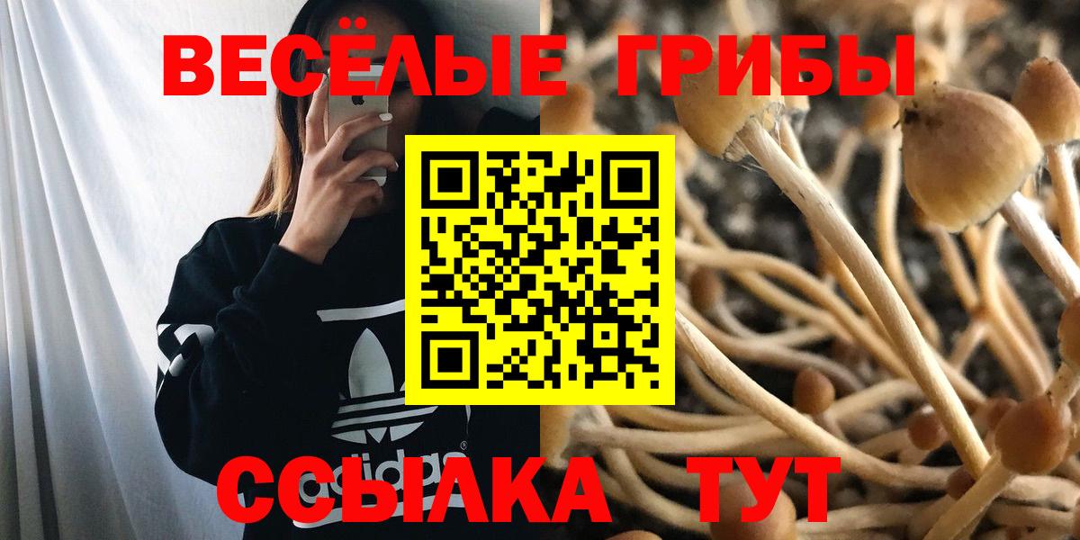 Псилоцибиновые грибы прущие грибы  Вход с VPN  Будённовск 