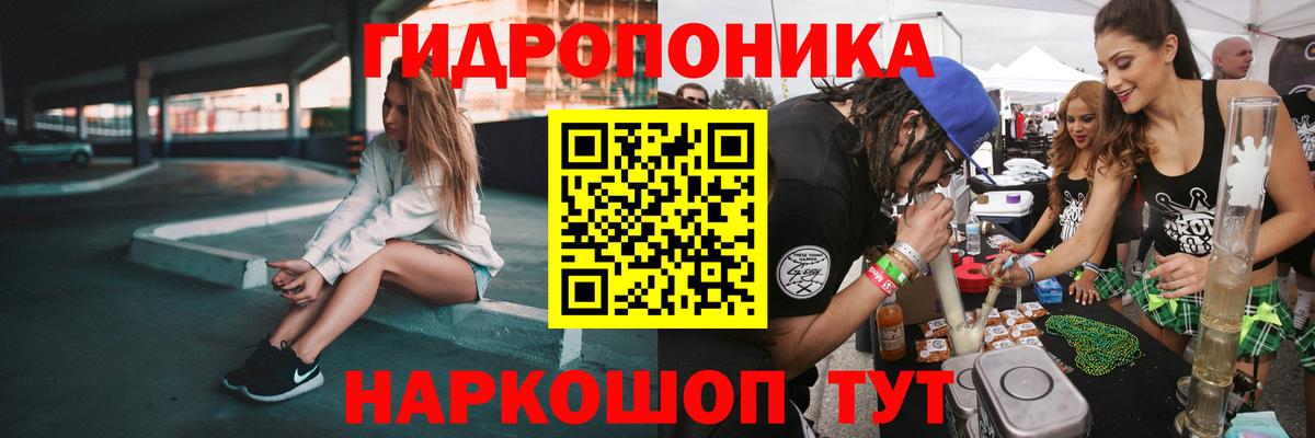 Бошки Шишки White Widow  Будённовск  Шишки марихуана план 